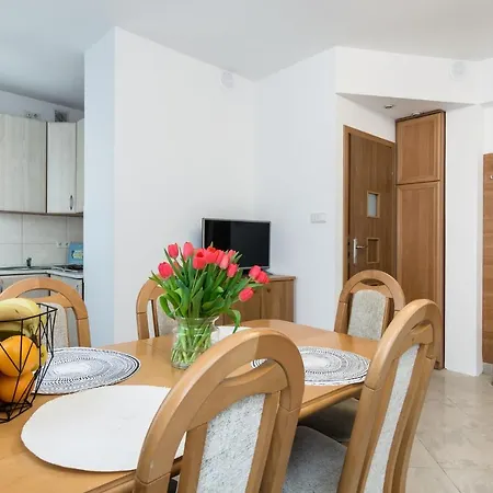 Elite Swietego Ducha *